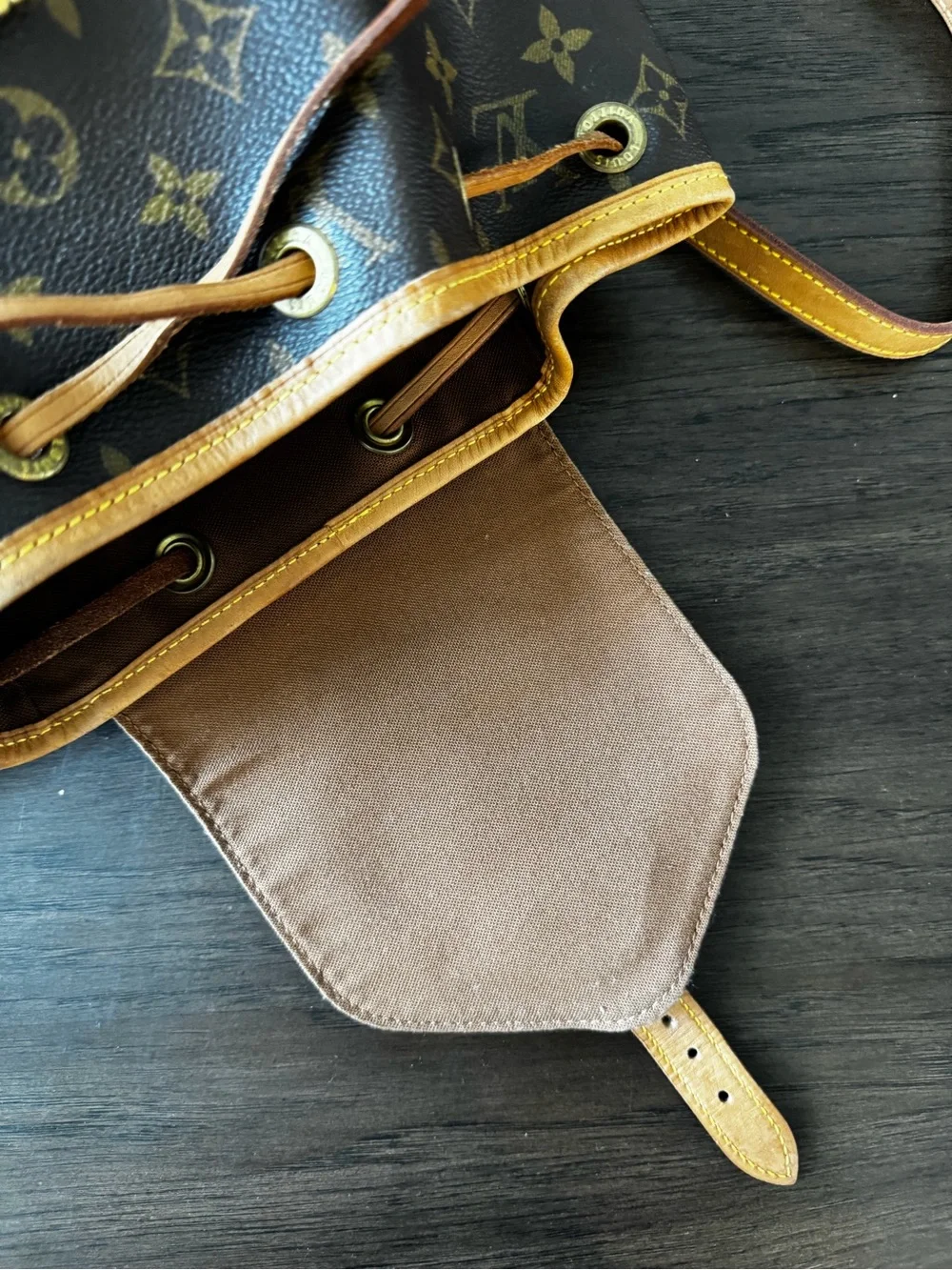 Louis Vuitton iconic lv